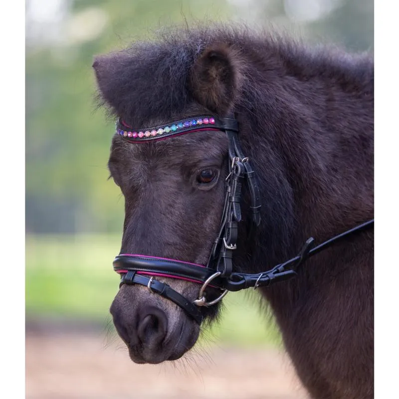 Acheter Direct WALDHAUSEN - Bridon Strass Colors pour Poney, SHETLAND, MINI Shetland PINKY STAR MINI SHETLAND