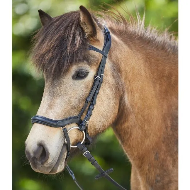 Produit De Marque WALDHAUSEN - Bridon PONEY Tetire et Muserolle Anatomique ISLAND NOIR