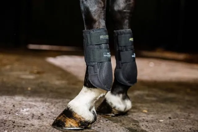 Nouvel Arrivage Gutres de protection Adagio - Horseware - lgres et respirantes - NOIR - FULL