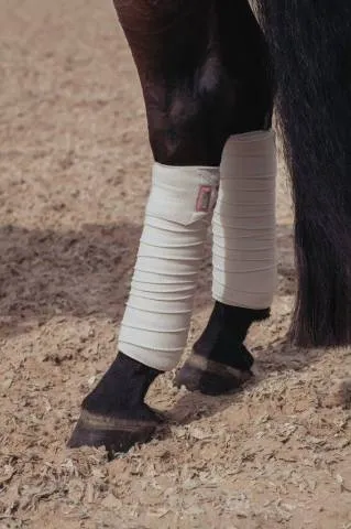 Bandes de polo Equestrian Stockholm – Desert Rose – Beige – Cheval Petit Prix