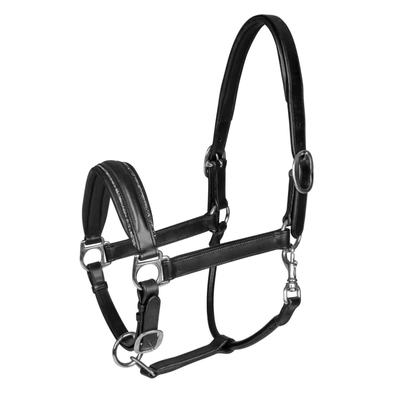 WALDHAUSEN – Licol Cuir Doubl avec Cristaux GLAMOUR S LINE CHEVAL Haute Qualit
