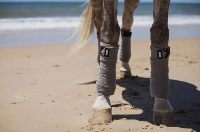 Bandes de polo Sportive Blue Ash – Equestrian Stockholm – Gris – Cheval Expdi Aujourdhui