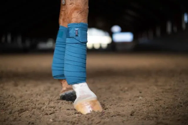 Bandes de polo Amalfi Coast – Equestrian Stockholm – Bleu – Cheval Prix Cass