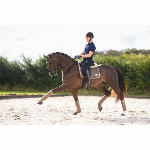 Bandes de polo GEM COLLECTION SD Design – SMOKY QUARTZ Meilleure Vente
