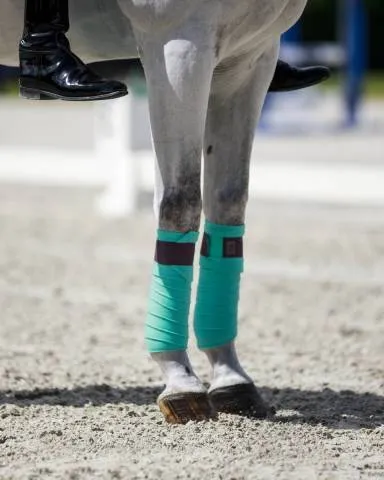 Bandes polaires turquoise Frosty Mint – Equito Seulement Aujourdhui