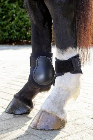 Protge boulets noprne - HKM - Vendu par paire - COB Must-Have