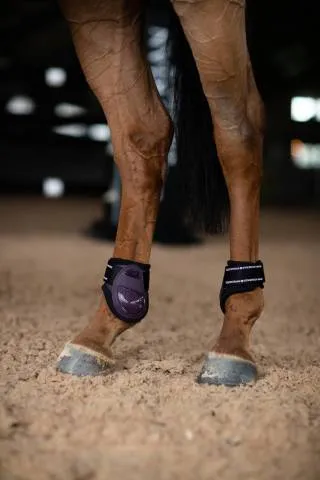 Protge-boulets Anatomic Fetlock Black Raven – Equestrian Stockholm – Violet – Poney Expdition Rapide