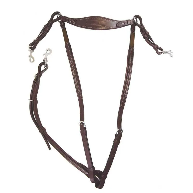 SIGNATURE by ANTARES - Collier de Chasse Cuir Pont Amovible COB Nouvel Arrivage