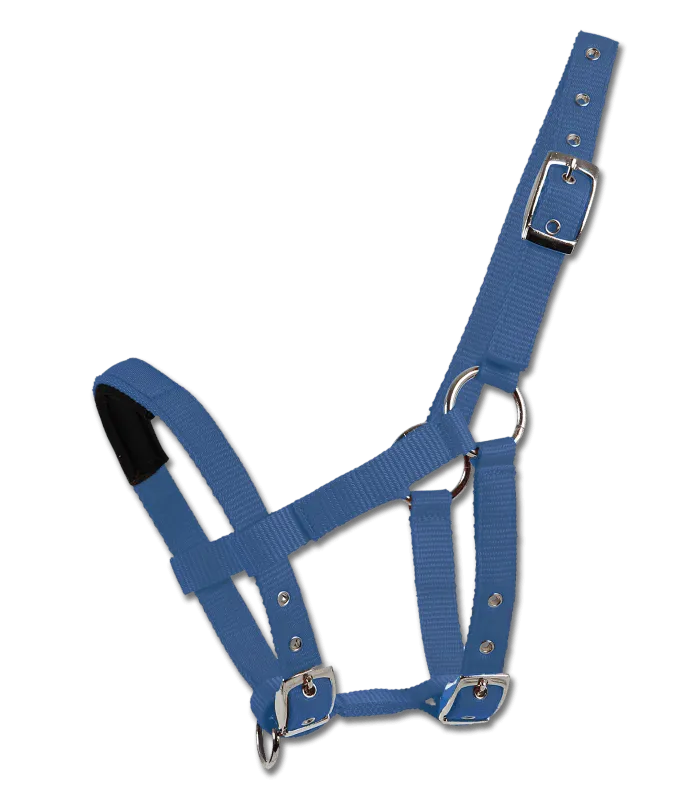 Bon Plan Waldhausen - Licol nylon multi rglage pour Mini Shetland BLEU