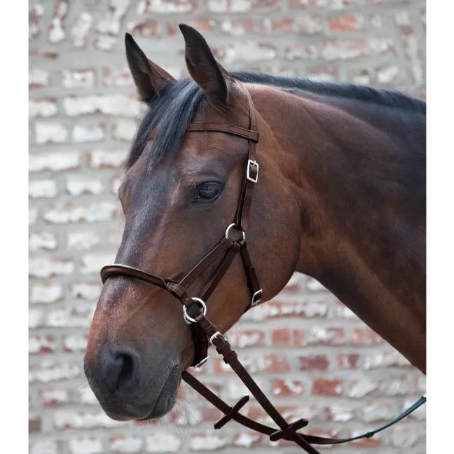 Prix Bas LINDA TELLINTON JONES - Bridon Sans Mors en Cuir Sidepull, LINDELL CHEVAL NOIR