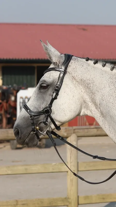Filet Jump'In New York One - Cob - Noir Vente Flash