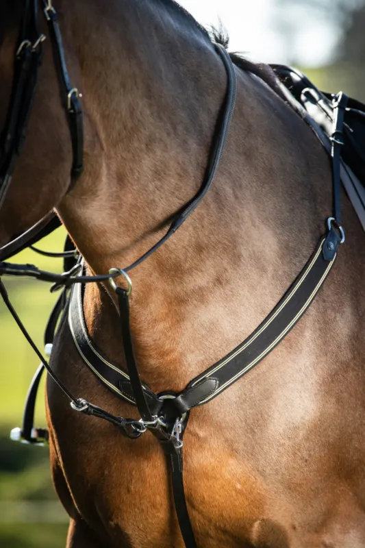 Collier de chasse lastique + martingale HFI Master - Cob - Noir / noir Prix Choc