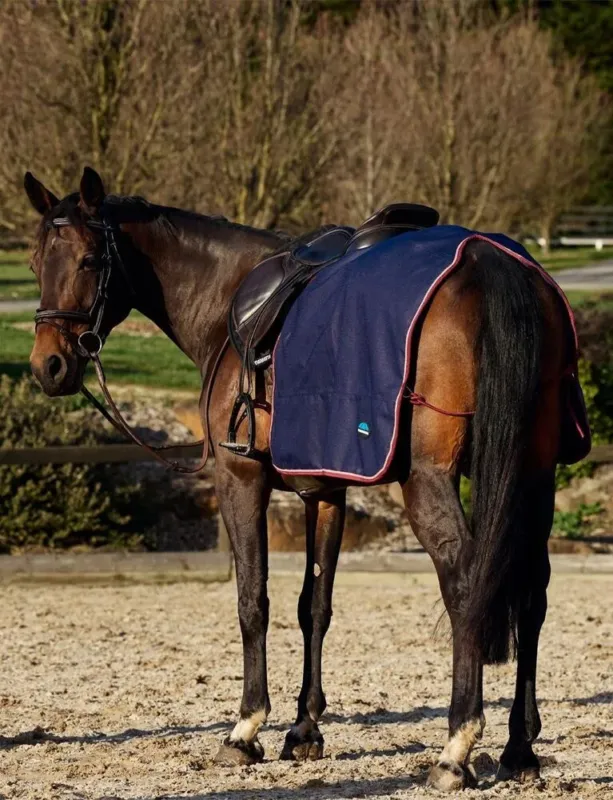 Meilleure Vente Couvre-reins carr Weatherbeeta doubl polaire Essentiel - XS - Marine / bordeaux