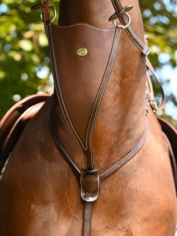 Martingale bib Jump'In - Cheval - Acajou Solde