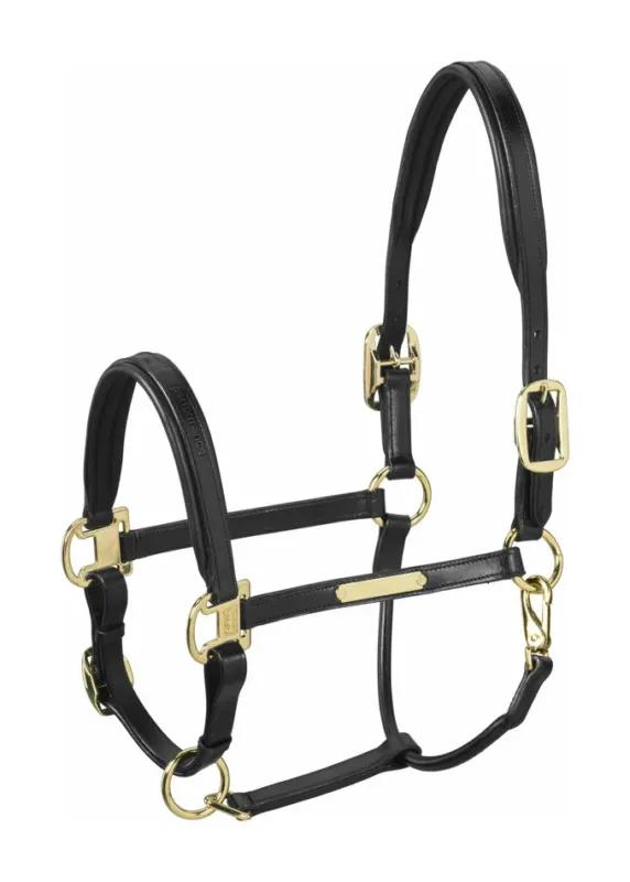 Offre Spciale Licol en cuir Eskadron Elegance - Cob - Noir