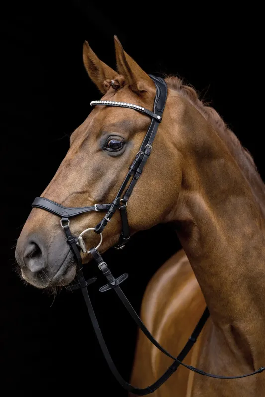 Promotion Saisonnire Bridon Pro Anatomic HKM - Poney - Noir