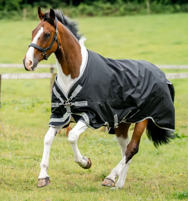 Commander Maintenant Couverture Horseware Amigo 1200D XL Turnout 150g - 130 cm - Noir / gris titane / argent