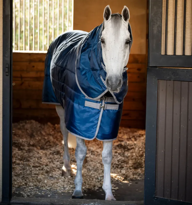 Rduction Couverture d'curie Horseware Amigo Ripstop Insulator Plus Poney 200g - 100 cm - Marine / gris titanium