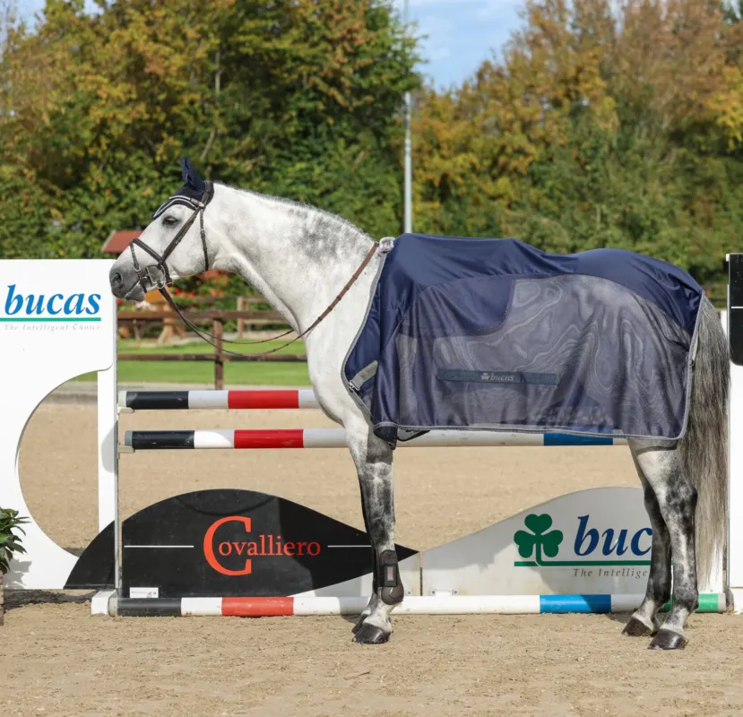 Couverture Bucas de comptition Show-Line - 130 cm - Marine / gris Haute Qualit