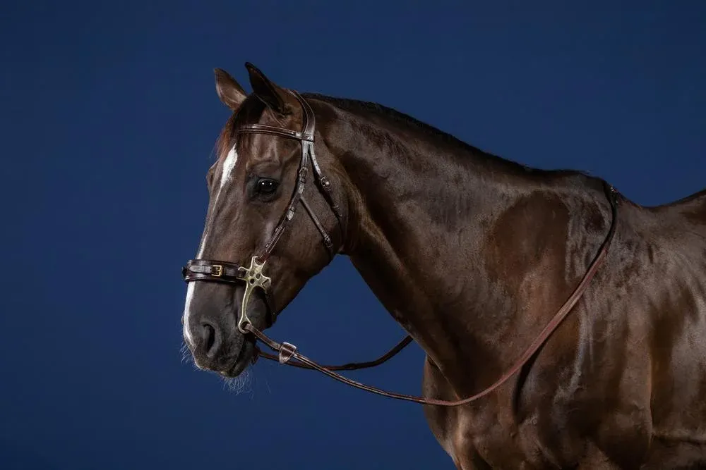 Bridon Hackamore US Collection by Dy&rsquo;on – Poney – Brun Soldes