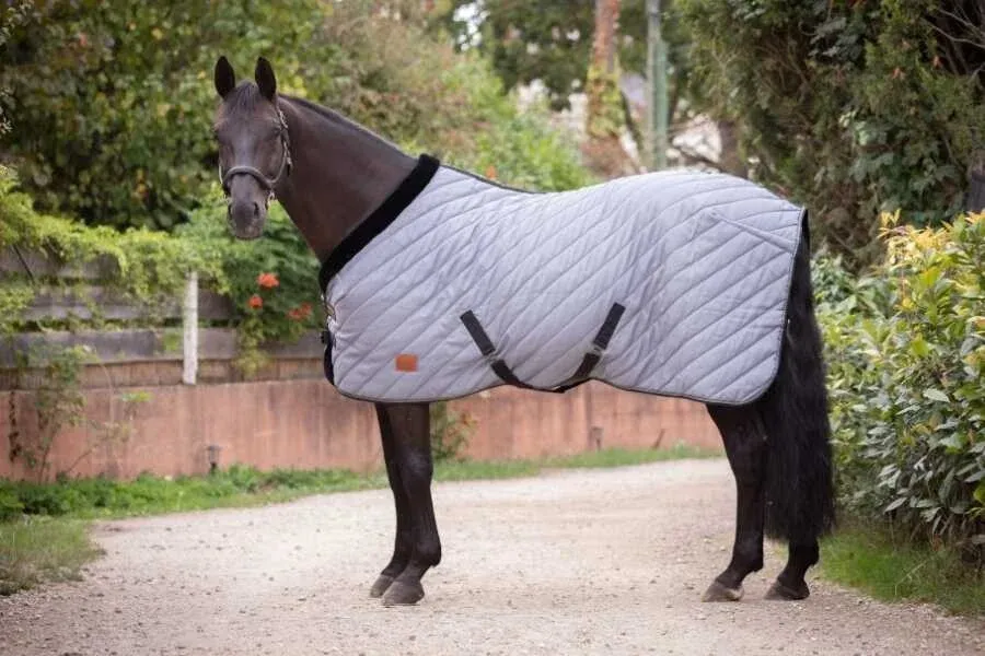 Affaire Saisir Couverture d'curie Diagonal Paddock Sports - 150 cm - Gris