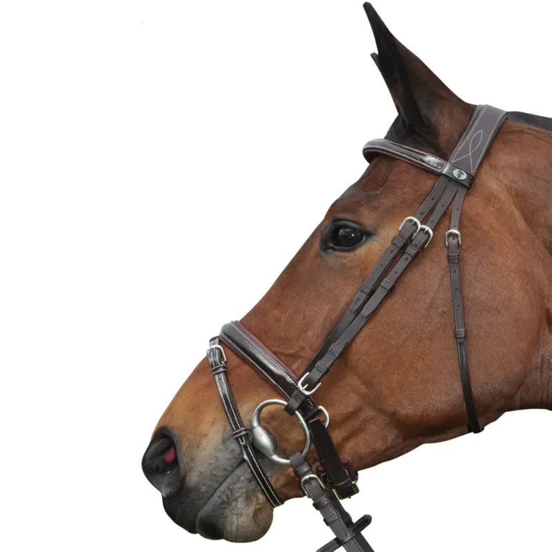 Bridon Pull Back Cannes Privilege Equitation – Poney – Marron Super Prix