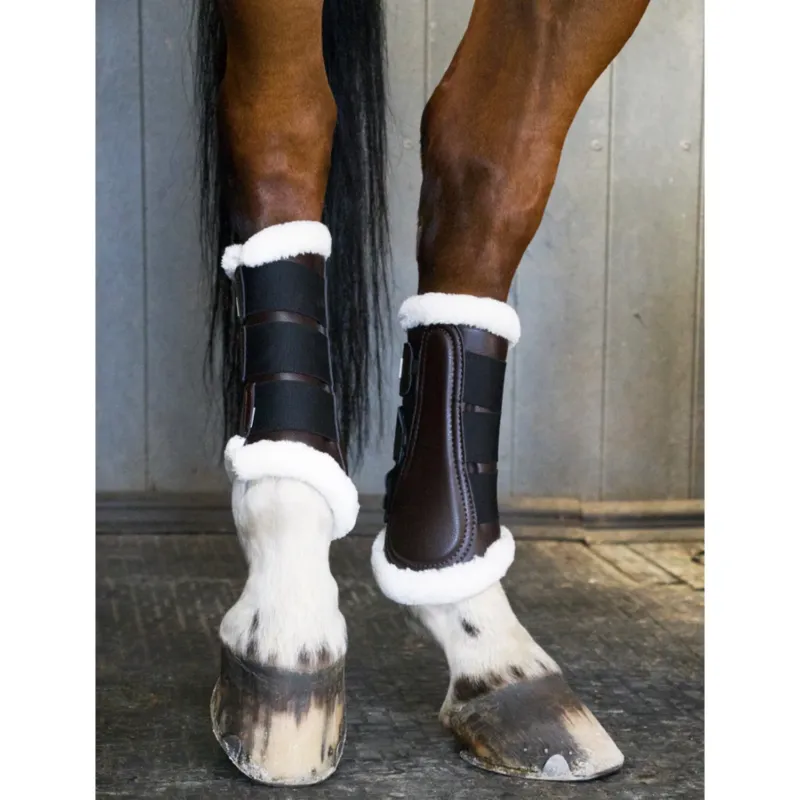 Gutres dressage postrieurs T de T - M - Marron / noir Soldes