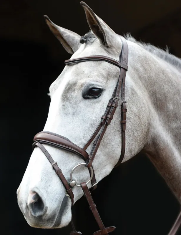 Paiement Scuris Bridon muserolle combine Collegiate - Cheval - Marron