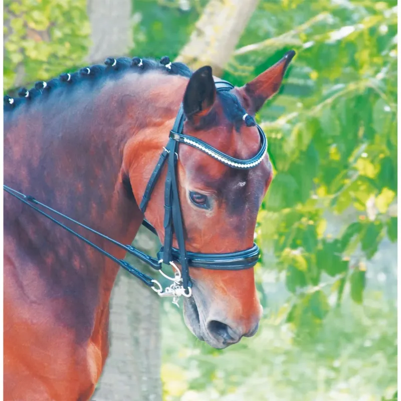 Quantit Limite Bride de dressage cuir Czanne T de T - Cheval - Noir