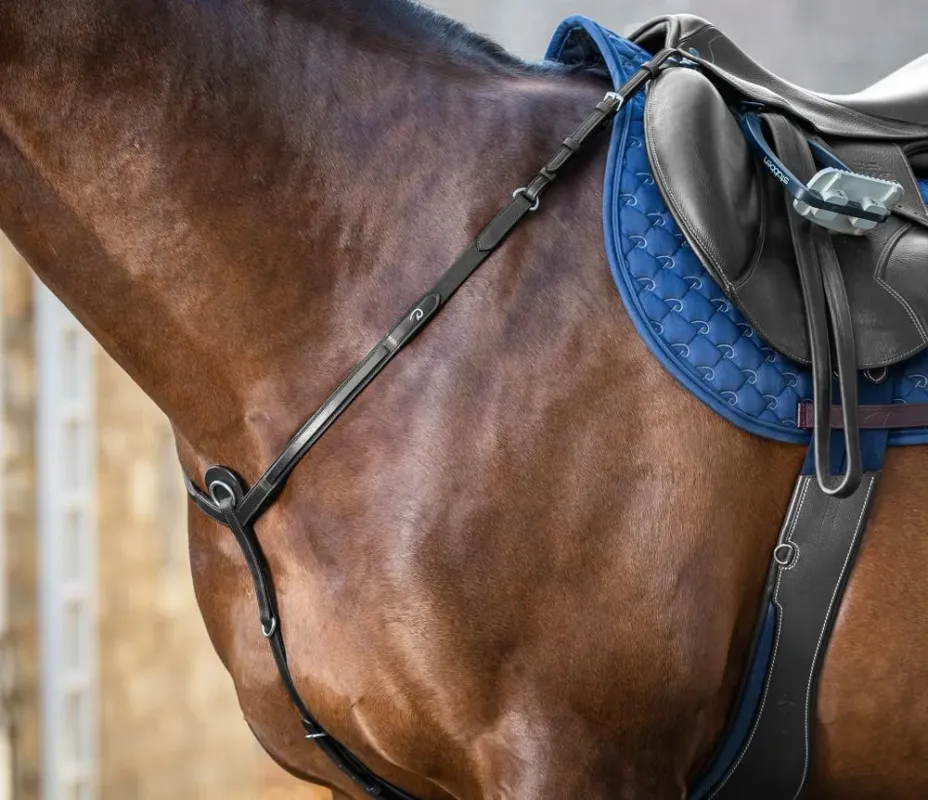 Collier De Chasse New English Collection by Dy&rsquo;on – Cheval – Noir Certifi
