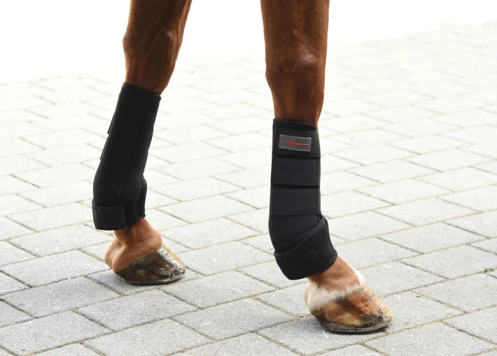 Vente Flash Gutres Covalliero - Cheval