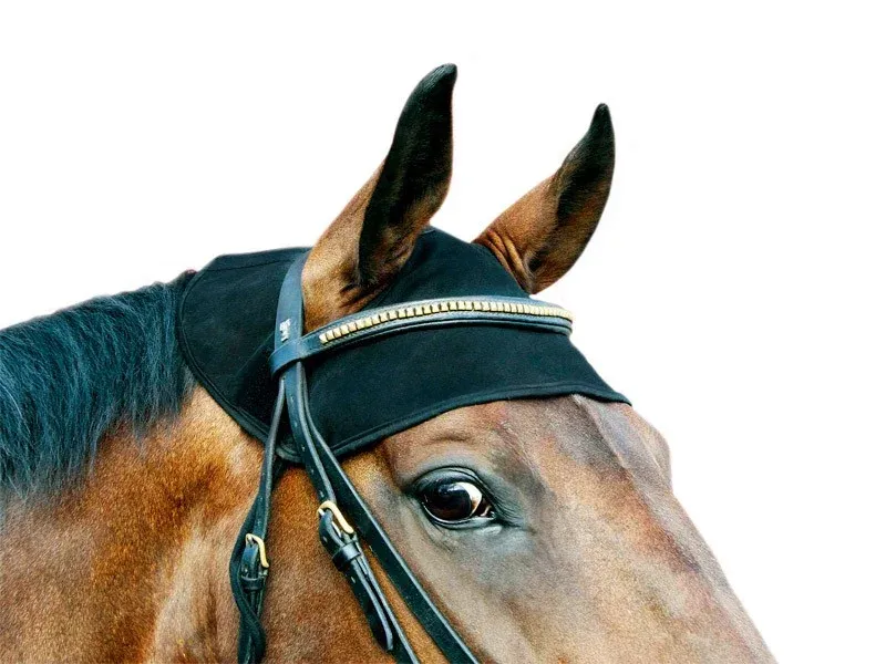 Promotion Saisonnire Protge nuque Back On Track - S