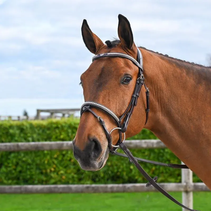 Affaire Saisir Bridon Clincher Jump'In One Premium - Cheval - Havane