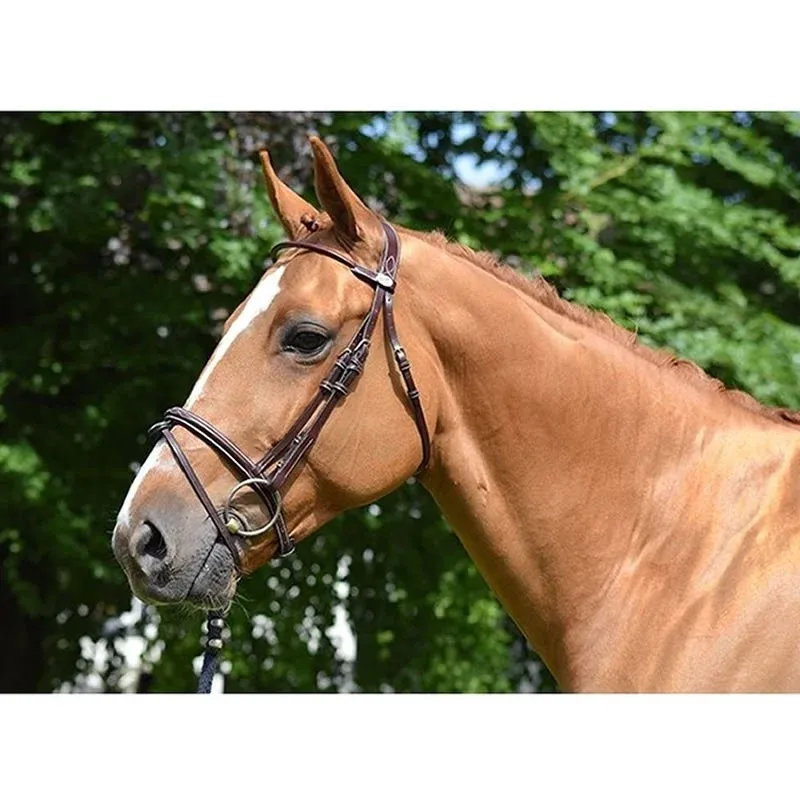 Prix Bas Filet Jump'In Monday muserolle combine week - Cob - Acajou