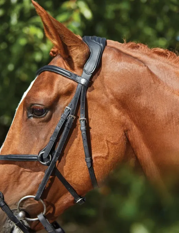 Bridon Collegiate ComFiTec Grackle – Grand cheval – Noir Promotion