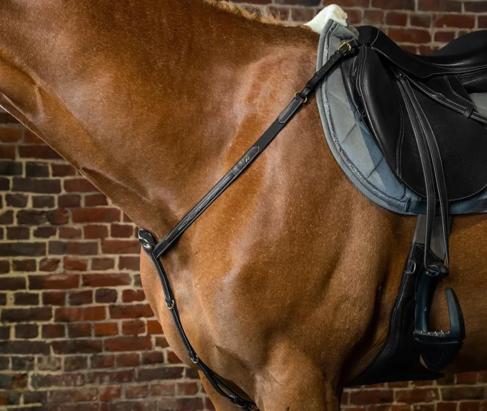 Usine Directe Collier De Chasse D Collection by Dy'on - Poney - Noir