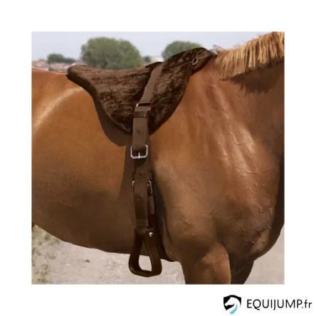 Tapis de monte cru NORTON - Confort - BRUN - CHEVAL/FULL Super Prix