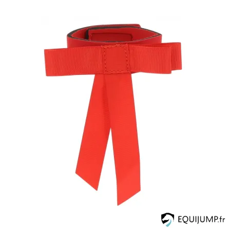 Achetez Aujourdhui Ruban De Queue Rouge HIPPOTONIC – ROUGE