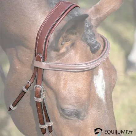 Nouvel Arrivage Ttire Paris / Bruxelles - Collection One JumpIn - COB/PUR-SANG - NOISETTE