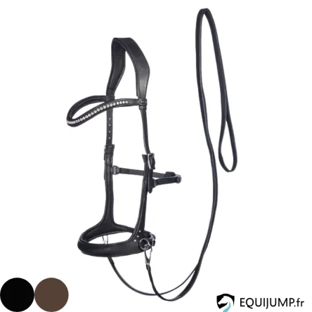 Offre Du Jour Sidepull Rebecca FRA – CHEVAL/FULL – BRUN
