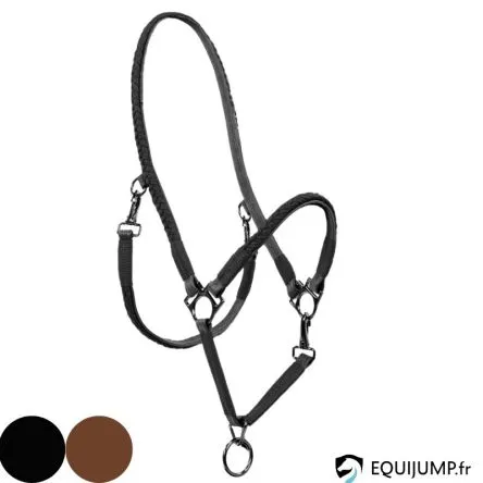 Licol De Grooming Dialou ProConfort – NOIR – PONEY Prix Choc