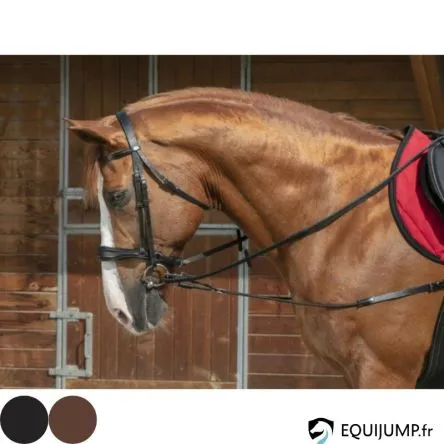 Offre Limite Enrnement Elastique Court/Poulies NORTON PRO - HAVANE - CHEVAL/FULL
