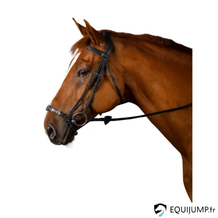 Bridon Muserolle Allemande Dyon - CHEVAL/FULL - NOIR Commander Vite