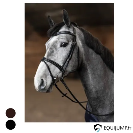 Vente Directe Bridon Combin Painted HFI - NOIR - CHEVAL/FULL