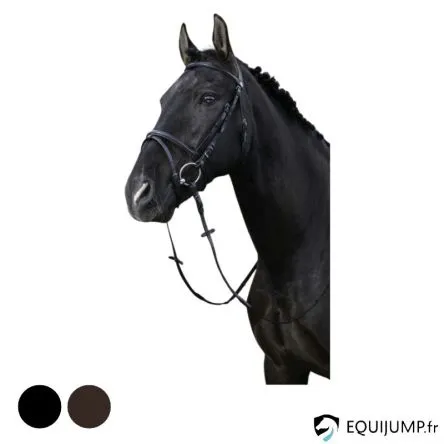Bridon Muserolle Combine RIDING WORLD – HAVANE – CHEVAL/FULL Acheter Direct