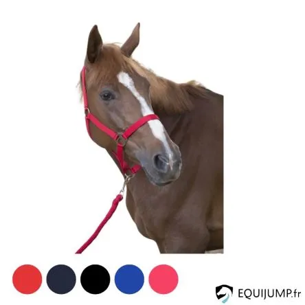 Promotion Licol + longe Club RIDING WORLD - BLEU ROI - COB/PUR-SANG