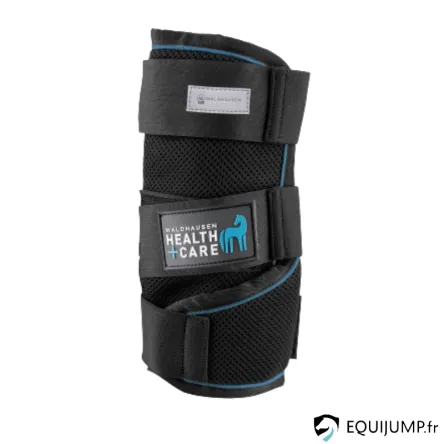 Gutres Waldhausen Health + Care, Ice Layer (La paire) - NOIR - L Paiement Scuris