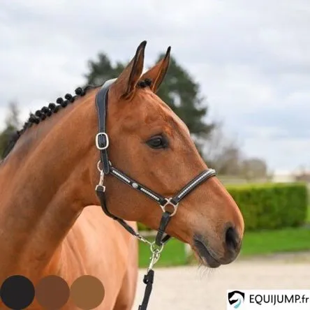 Licol Clincher Collection One Premium Jump In - CHEVAL/FULL - NOIR Authentique