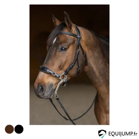 Prix Choc Bridon Hackamore HFI – BRUN – COB/PUR-SANG