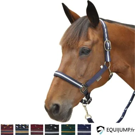 Licol + Longe Lurex Canter - BORDEAUX/ARGENT - CHEVAL/FULL Bon March